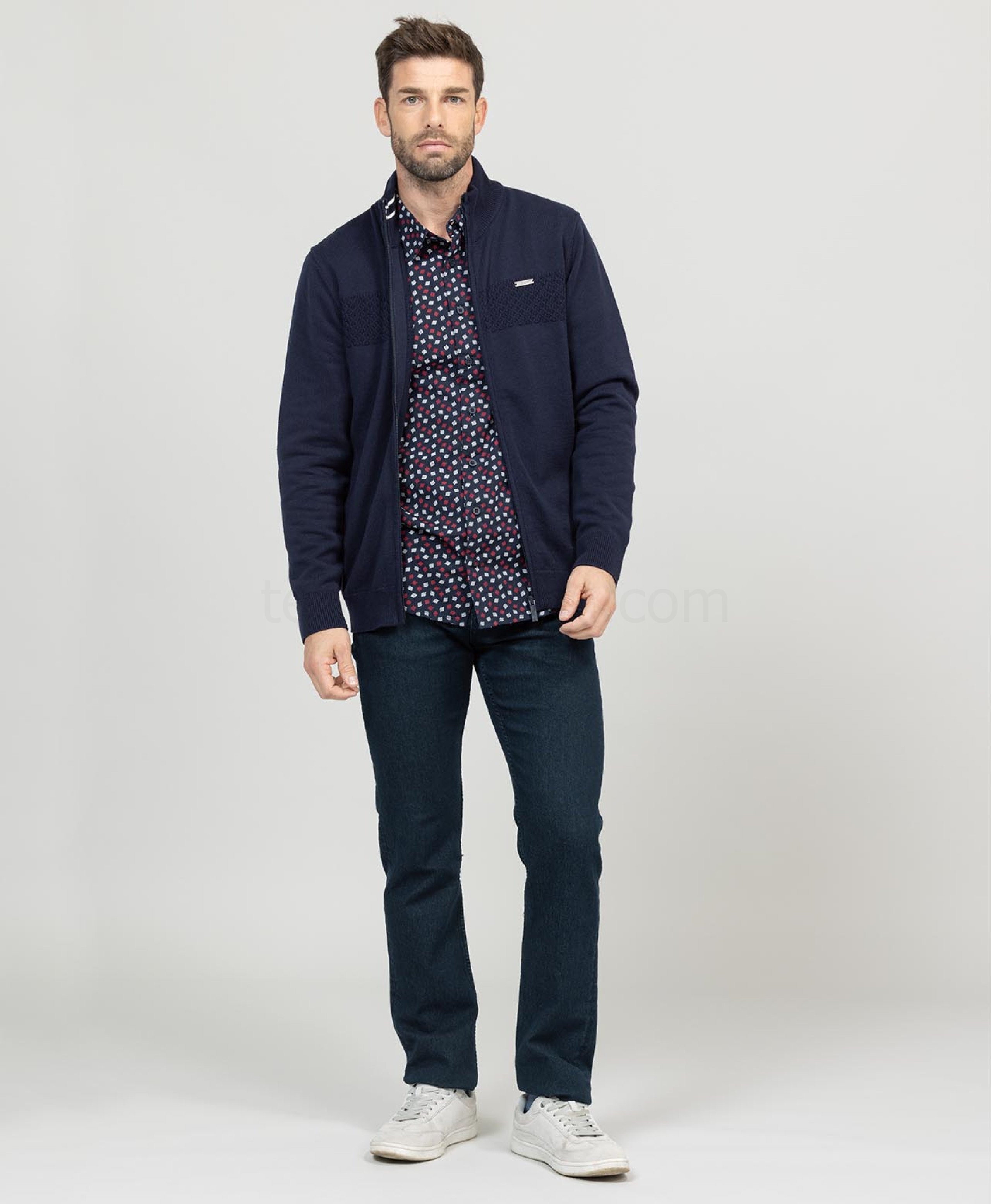 (image for) Chemise Chemisier Ml Imprime Indigo Fordo | Terreetmarin.Com - 350