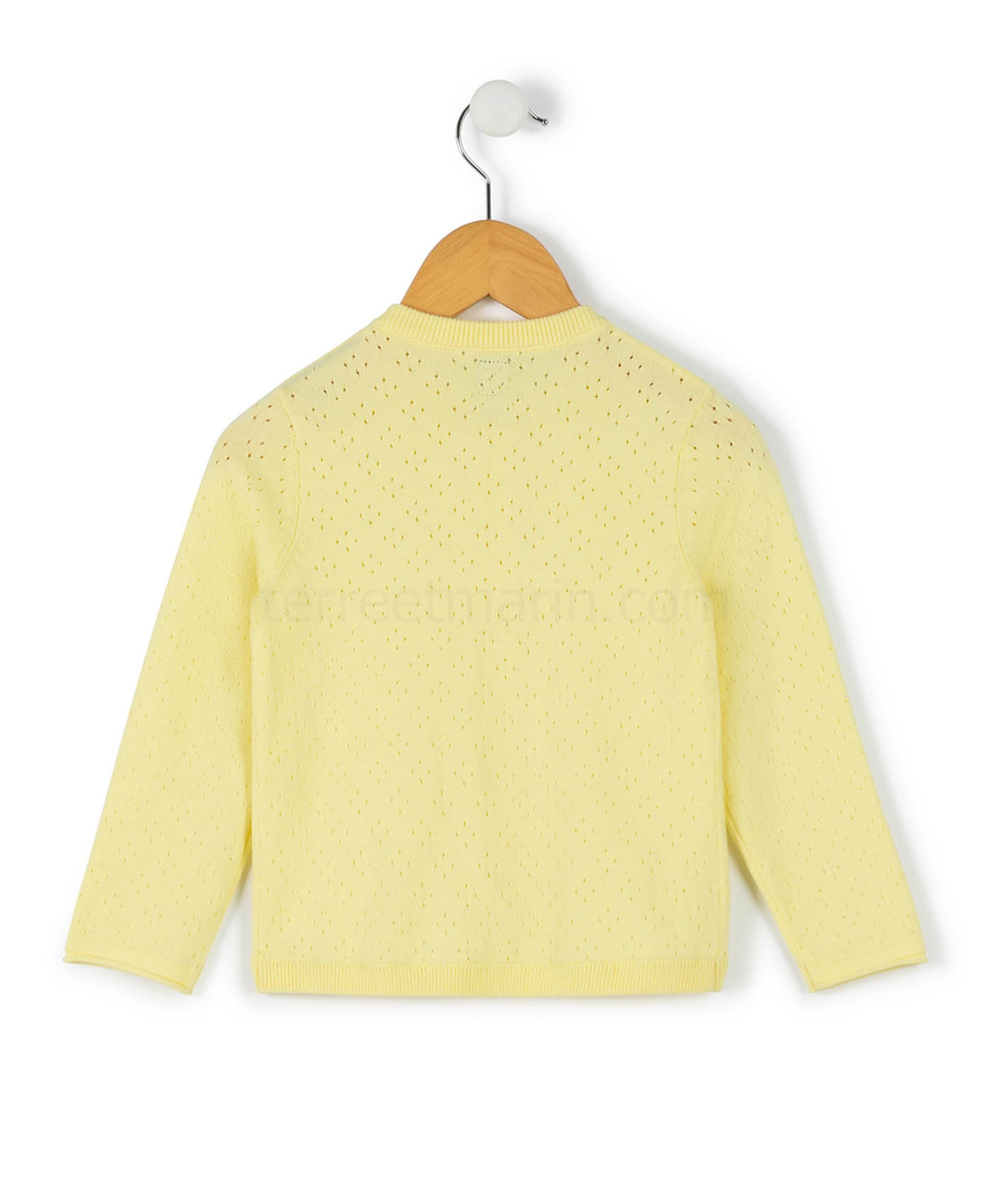 (image for) Cardigan Tricot Jaune Blanchi Ijol | Terreetmarin.Com - 410